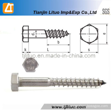 Top High Quality DIN571 Standard Screw